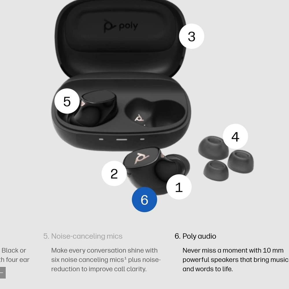 HP Black True Wireless Earbuds with Charging Case